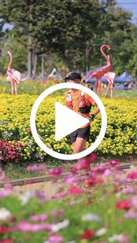 BIB:  <button type="button" onclick="openModal(27588405)" class="btn btn-primary btn-sm float-right" data-toggle="modal" data-target=".modal-high-quality">
                <i class="fa fa-download"></i> Download
                </button>